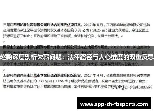 赵鹏深度剖析欠薪问题：法律路径与人心维度的双重反思